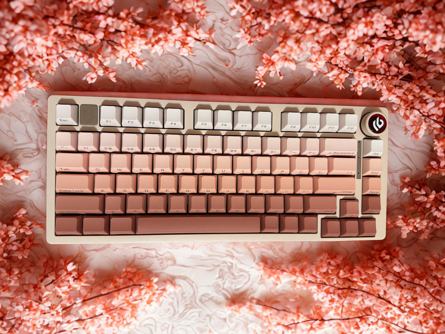 Sakura Fade